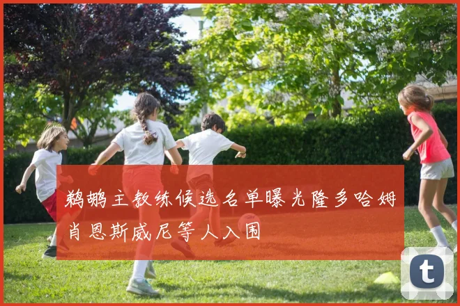鹈鹕主教练候选名单曝光隆多哈姆肖恩斯威尼等人入围